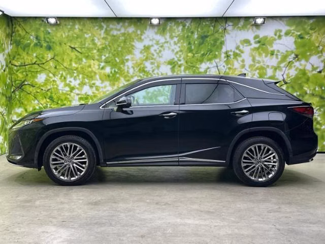 LEXUS RX300