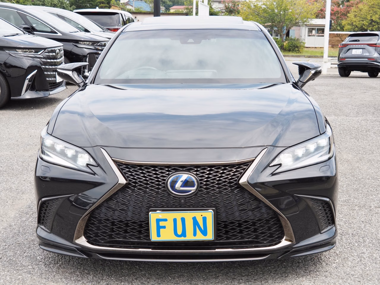 Lexus ES300h