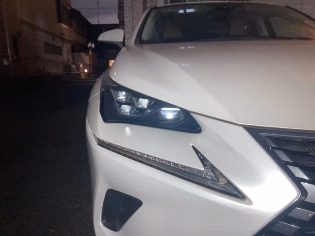 LEXUS NX300H