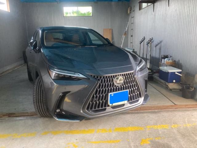 LEXUS NX250