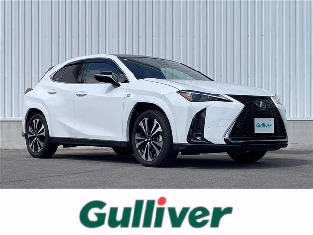 LEXUS UX250H