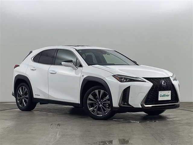Lexus UX250h