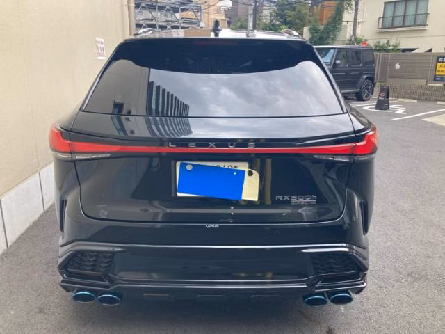 LEXUS RX500H
