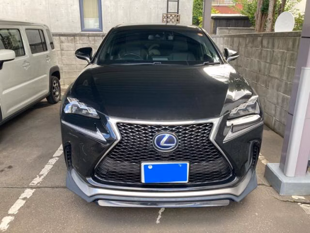 LEXUS NX300