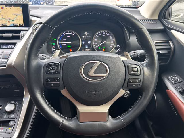 Lexus NX300
