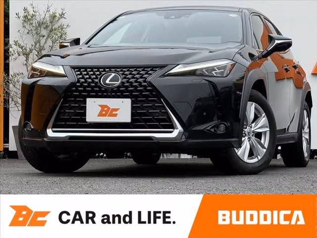 Lexus UX250h