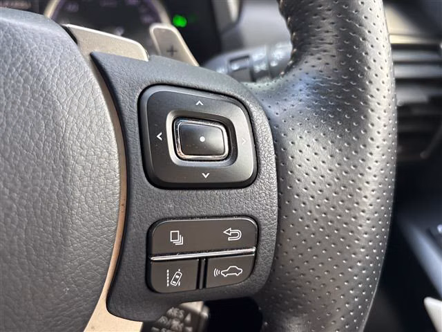 Lexus NX300h
