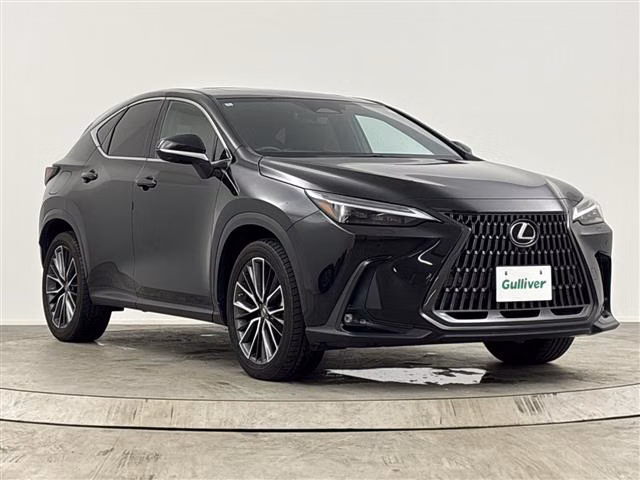 LEXUS NX450H+
