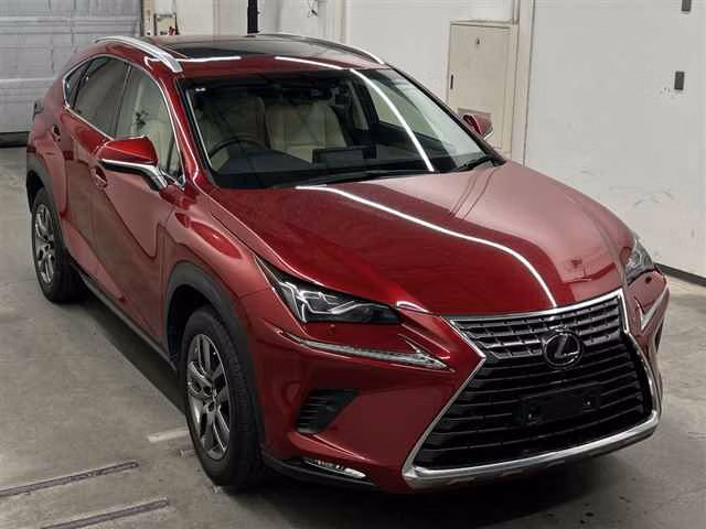LEXUS NX300
