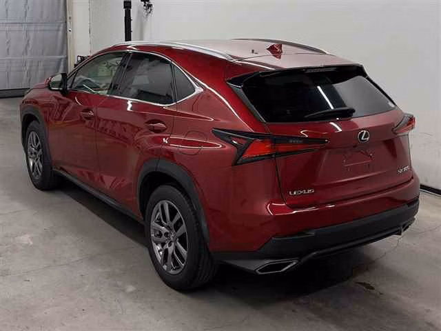LEXUS NX300