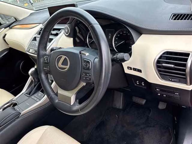 LEXUS NX300