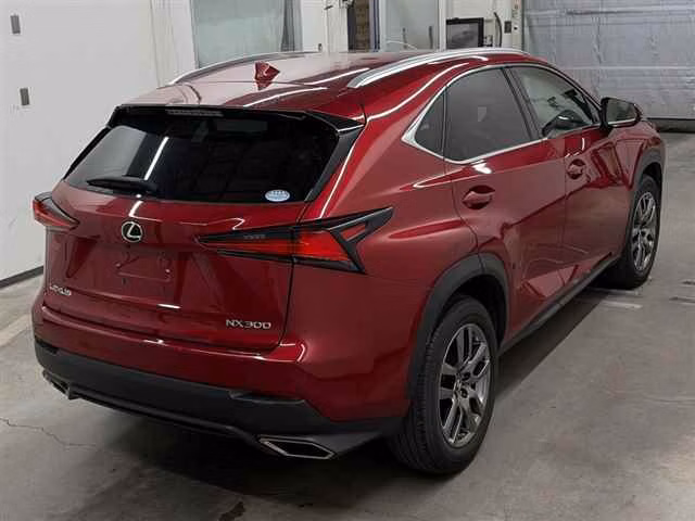 LEXUS NX300