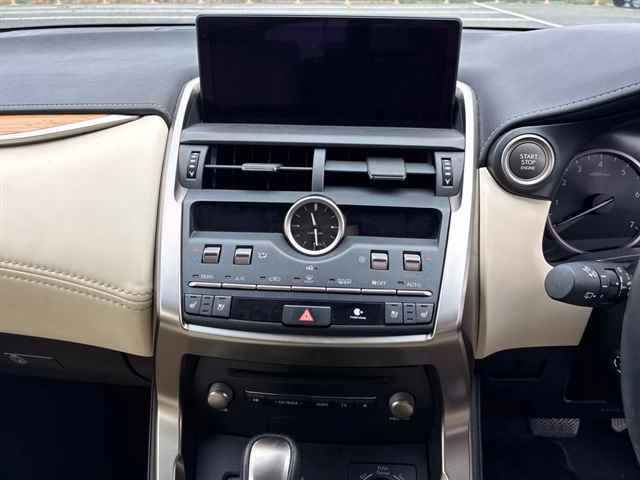 LEXUS NX300