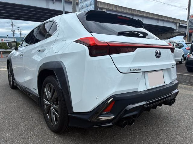 Lexus UX250h