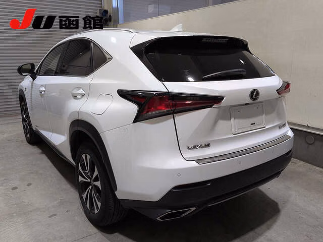 Lexus NX300