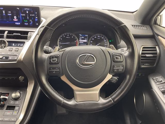 Lexus NX300