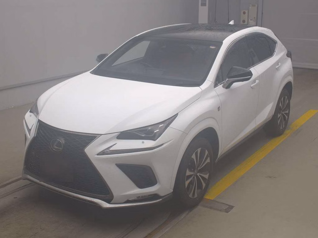 LEXUS NX300