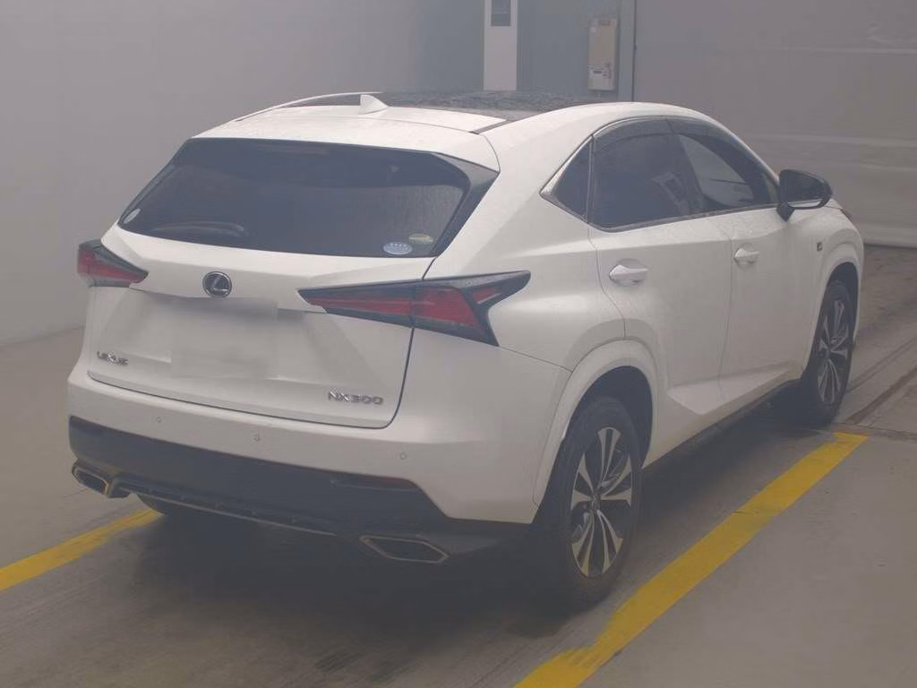 LEXUS NX300
