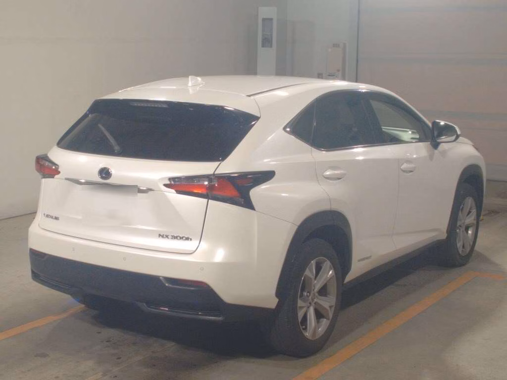 LEXUS NX300