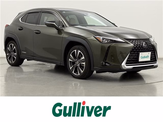 Lexus UX250h