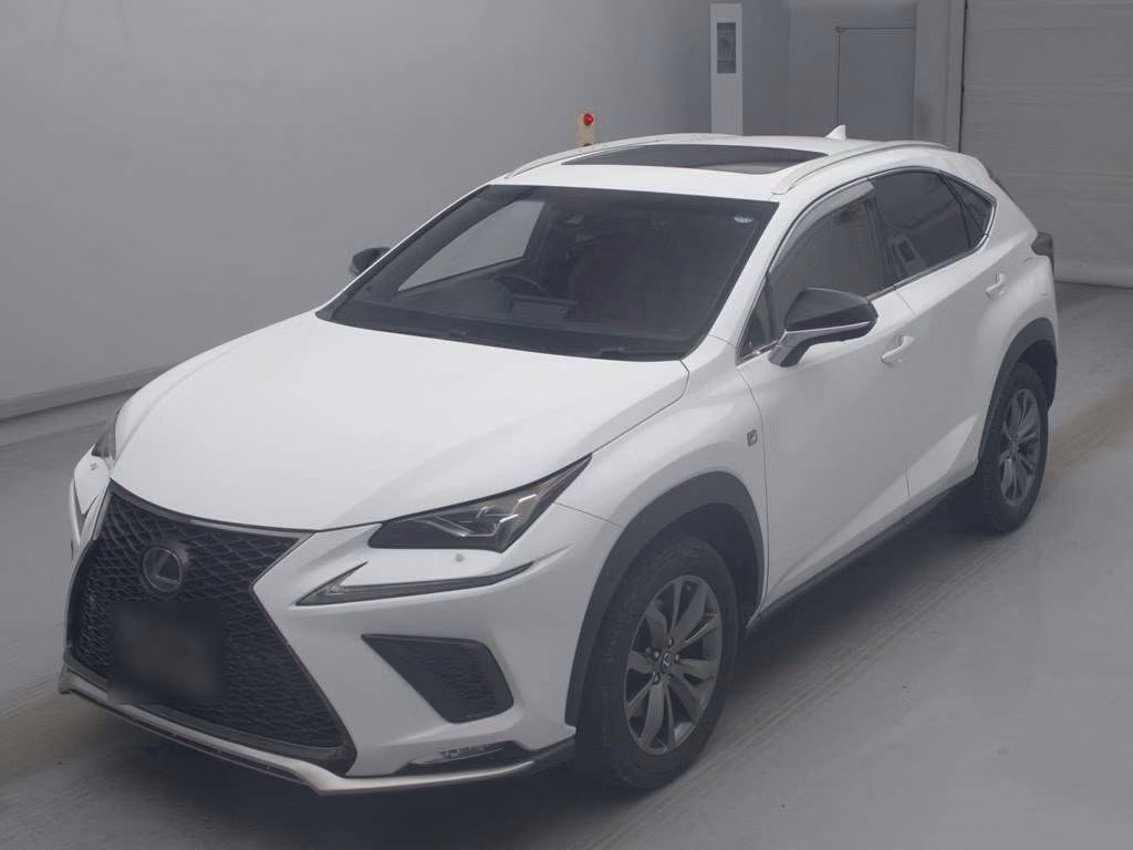 LEXUS NX300