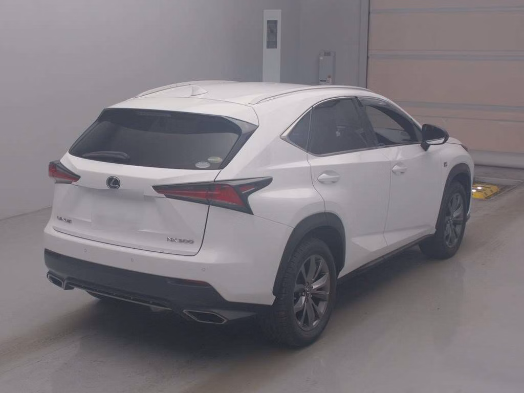 LEXUS NX300