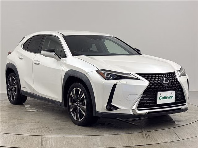 Lexus UX250h