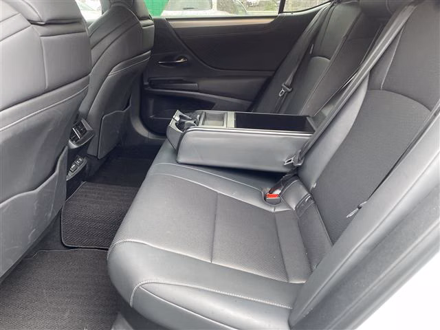 LEXUS ES300H