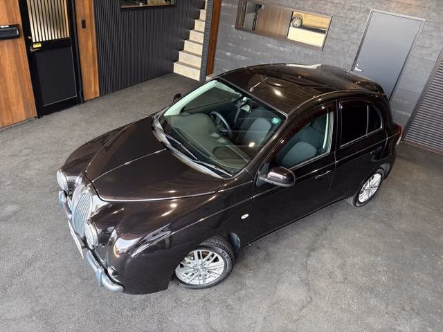 Mitsuoka Viewt