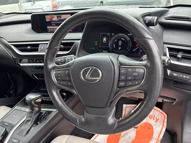 LEXUS UX250H