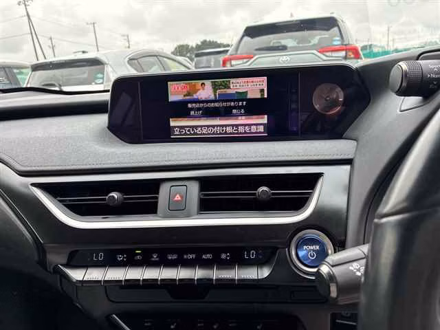 LEXUS UX250H