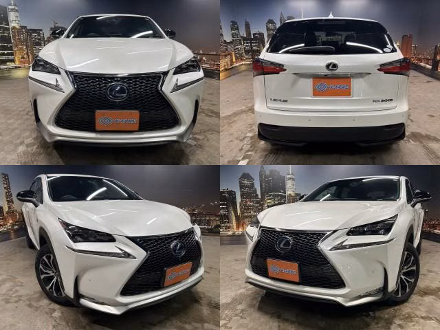 Lexus NX300
