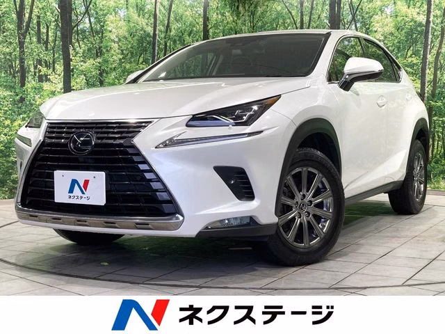 Lexus NX300