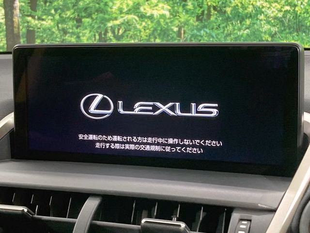 Lexus NX300