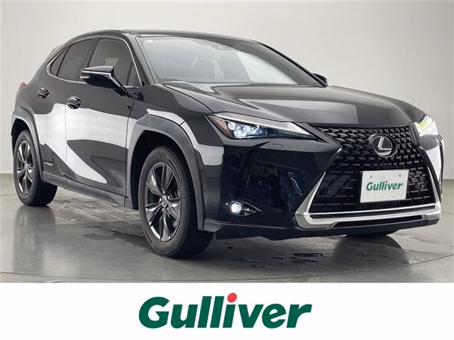 Lexus UX250h