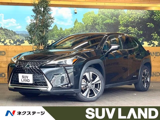 Lexus UX250h