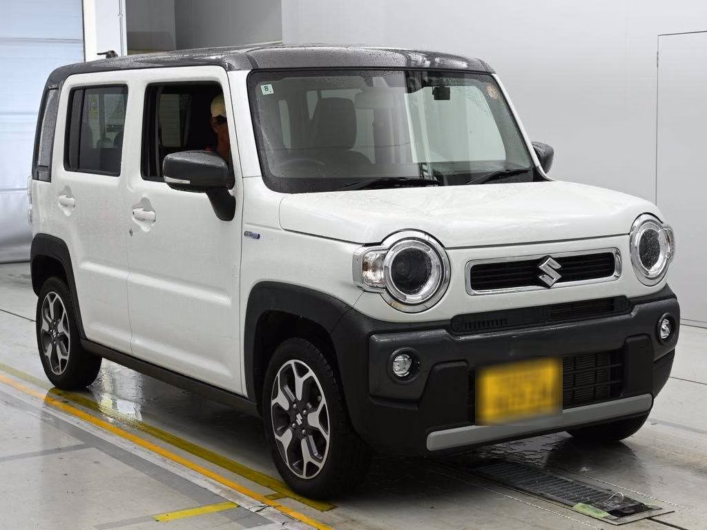 SUZUKI HUSTLER
