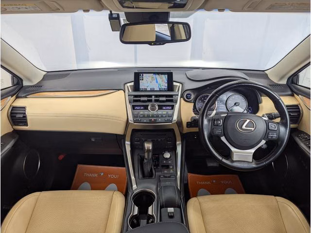 Lexus NX300h