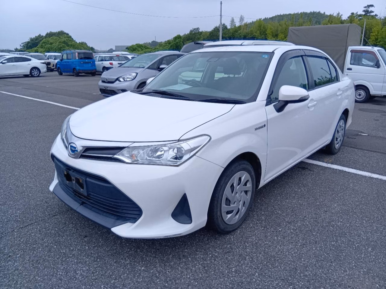 TOYOTA COROLLA AXIO