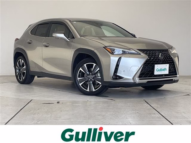 Lexus UX250h