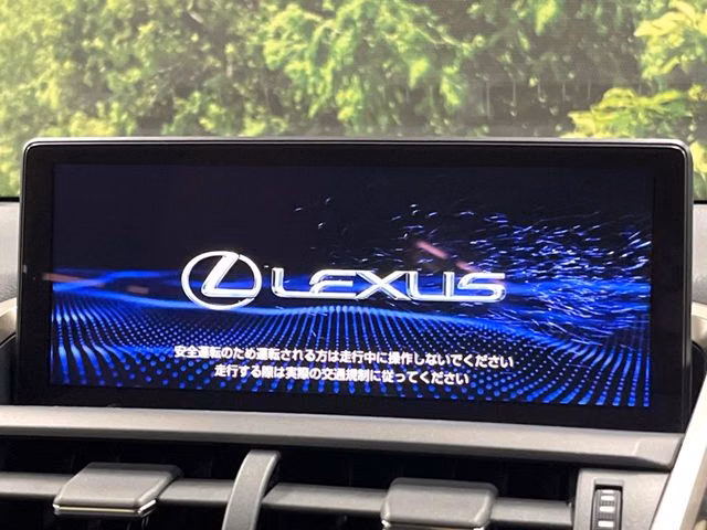 Lexus NX300