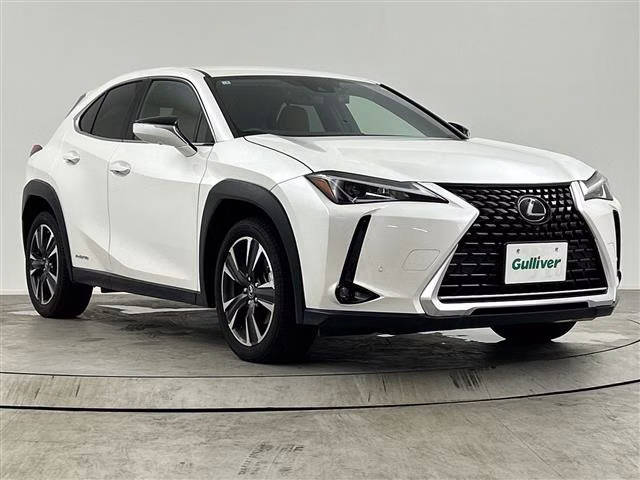 Lexus UX250h