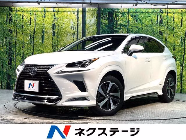 Lexus NX300h