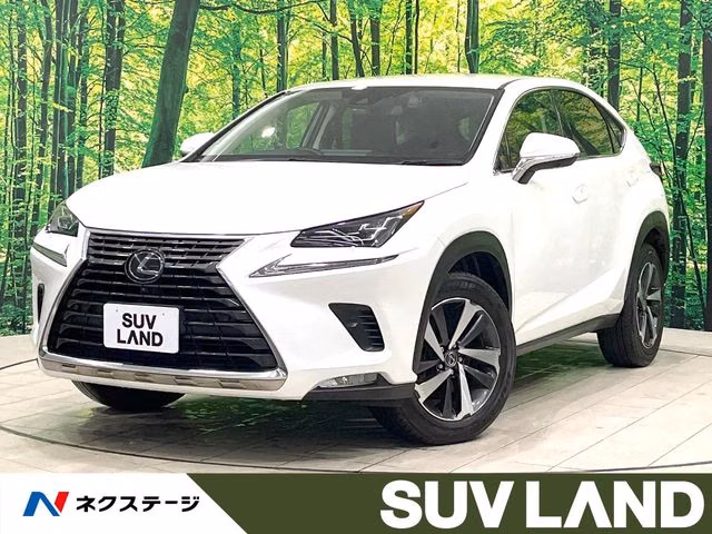 Lexus NX300