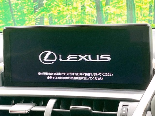 Lexus NX300