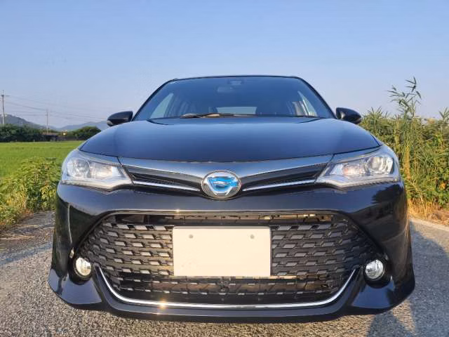 Toyota Corolla Fielder