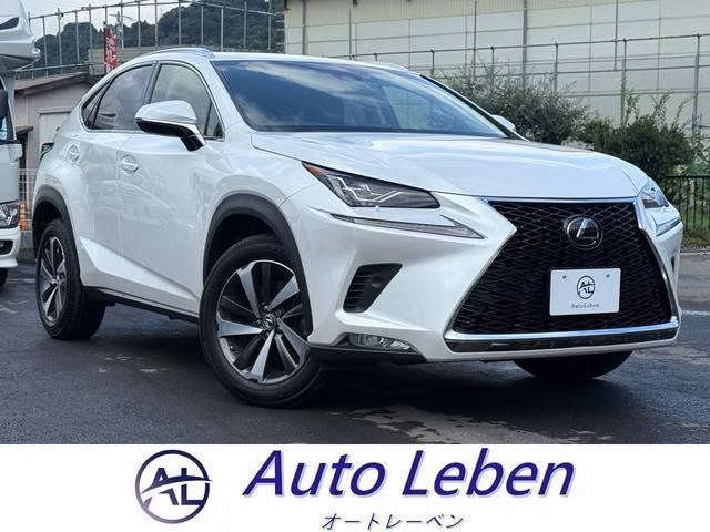 Lexus NX300