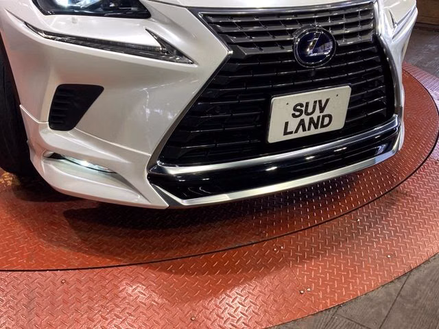 Lexus NX300h