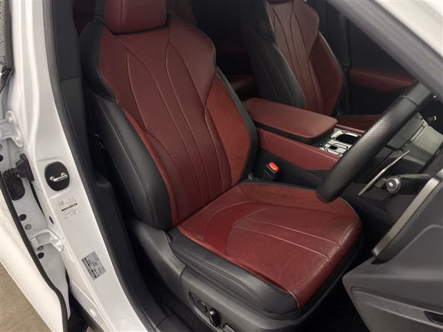 LEXUS RX500H