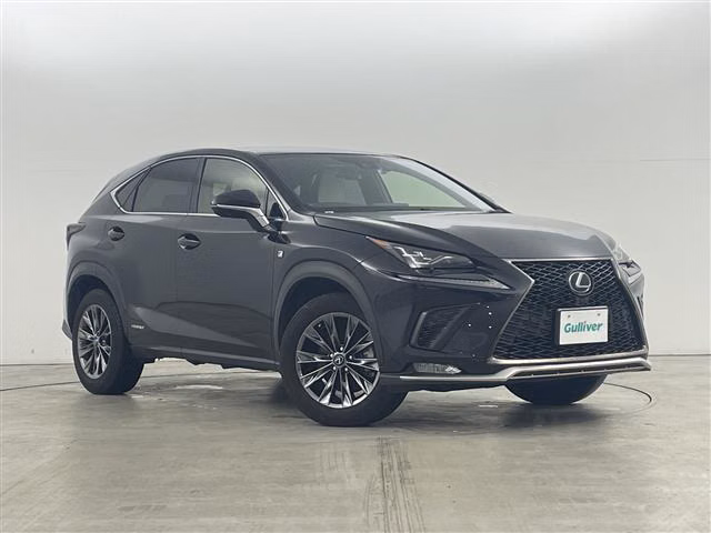 Lexus NX300h